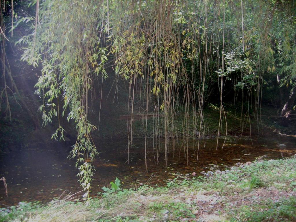 Rural Enric Sant Sadurni d'Osormort